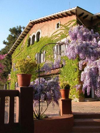 Hotel Masia Vista Hermosa