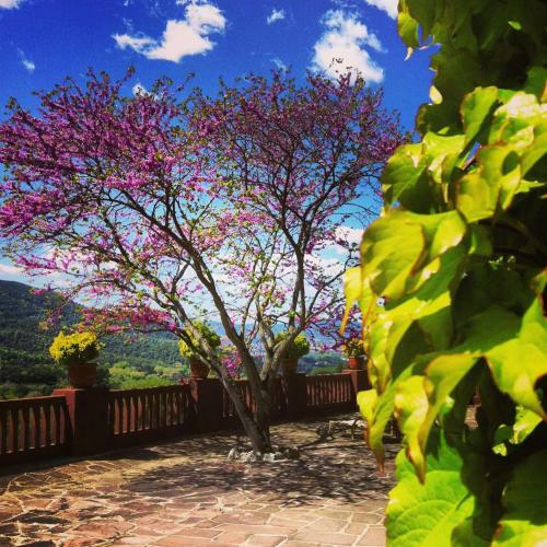Hotel Masia Vista Hermosa
