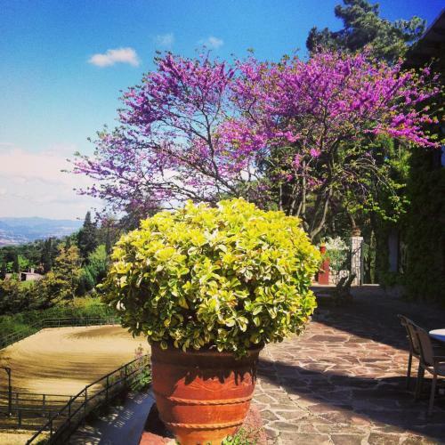 Hotel Masia Vista Hermosa