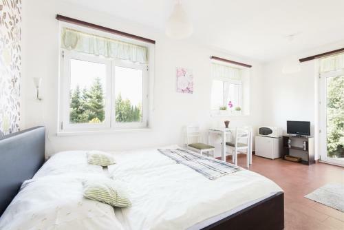 Apartamentos Ubytov�n� Vila Sobotka