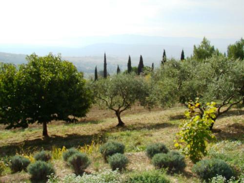 Villa Prescilla