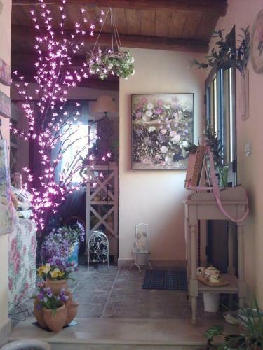 Bed & Breakfast Fiori E Coccole