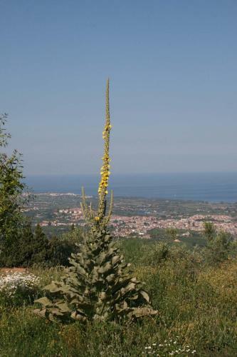 Bagol'area Etna Eco Farm