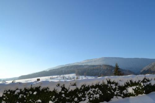 Hostal Pension U Hlink