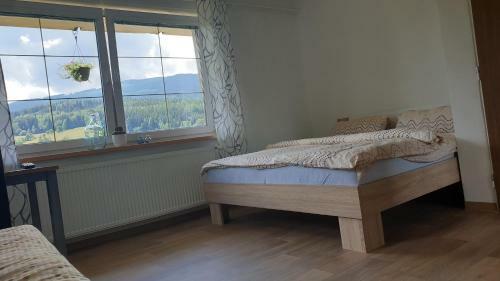 Hostal Pension U Hlink