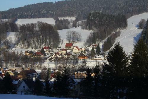 Hostal Pension U Hlink