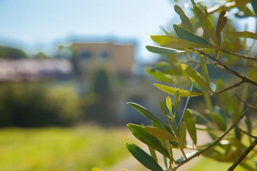 Agroturismo Agriturismo La Vecchia Fattoria