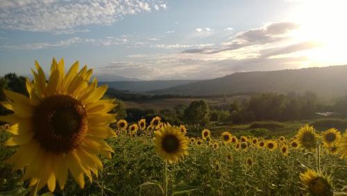 Agroturismo Agriturismo La Vecchia Fattoria