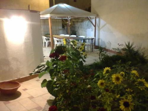 B&B Pacheco