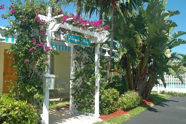 Apartamento Pineapple Place