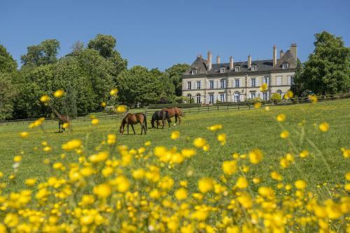 Hotel Ch�teau D'ygrande - Ch�teaux Et H�tels Collection