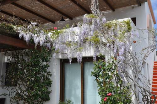 Apartamento La Terrazza Sul Mare