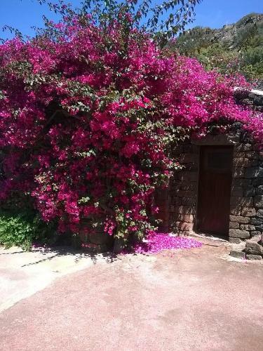 Holiday Home Dammuso Magia