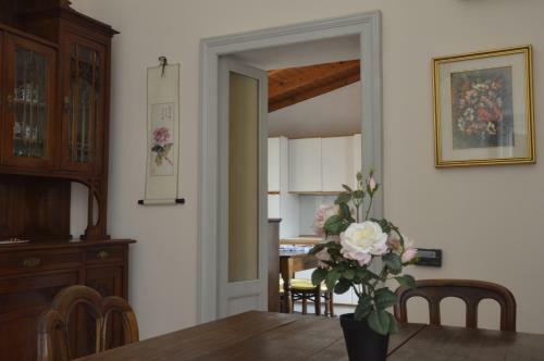 Pavia Downtown Apartment