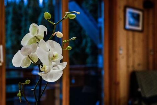 Yeti Lodge Chalets