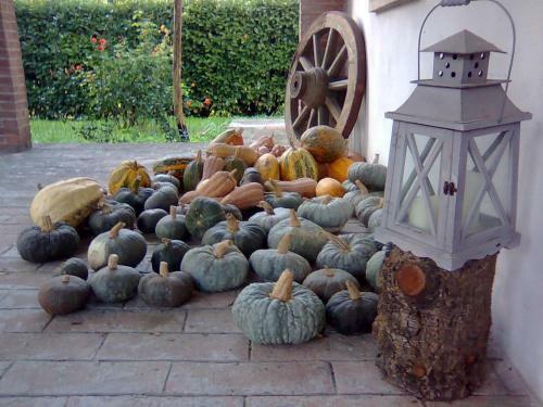 Agroturismo Agriturismo C� Rossa