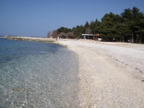 Apartment In Porec/istrien 10217
