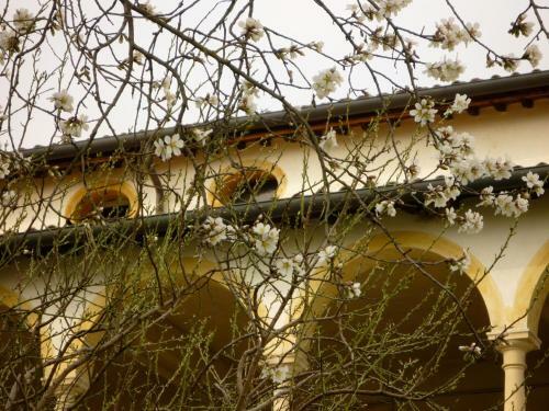 Apartamento Villa Verit�