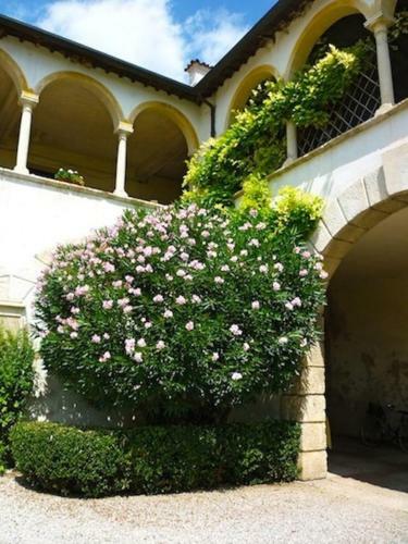 Apartamento Villa Verit�