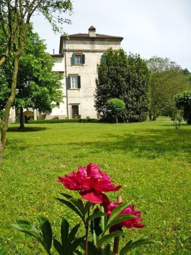 Apartamento Villa Verit�
