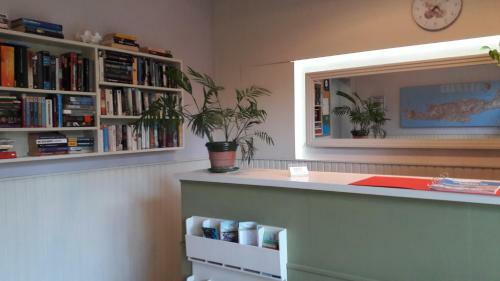 Oasis Apartments & Rooms