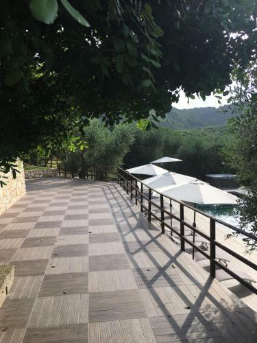 Agroturismo B&B Zia N�