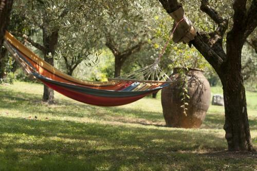 B&B Villa Il Noce