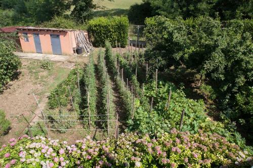 B&B Villa Il Noce