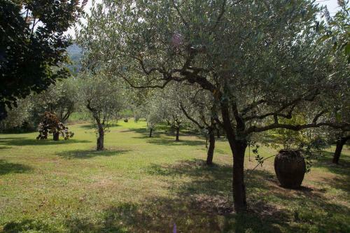 B&B Villa Il Noce