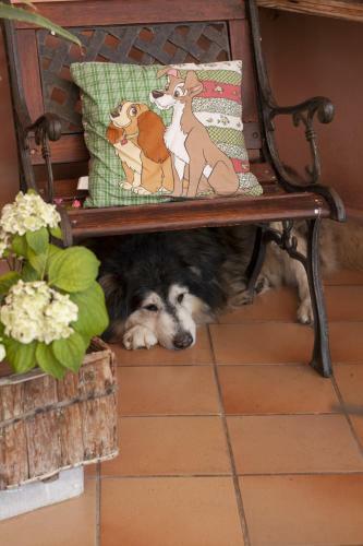 B&B Villa Il Noce