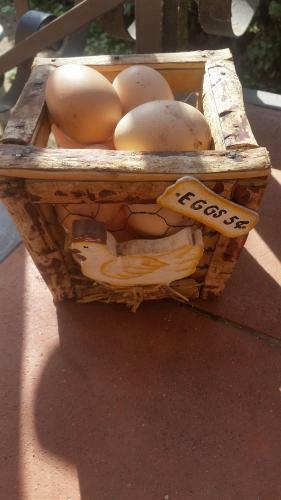 B&B Villa Il Noce