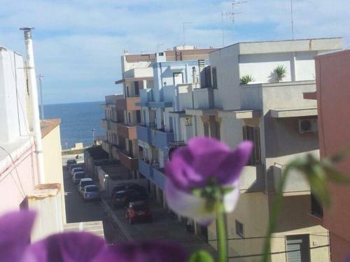 Bed & Breakfast Dimora Delle Rondini