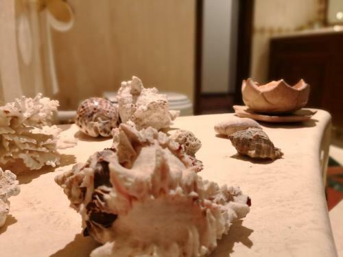 Bed & Breakfast Il Giardino Fiorito