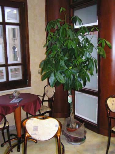 Hotel Mistral