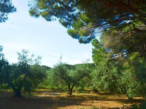 Ortolano