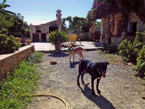 Villa Can Juanito