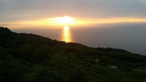 Apartamento Harrigain