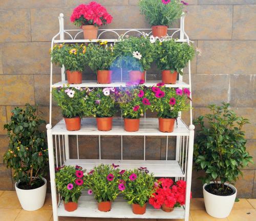 Apartamento Mi Patio