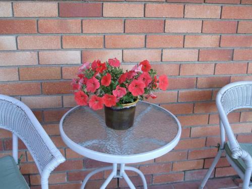 Anna Bella Motel Glen Innes