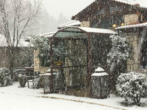 Hotel Georgio's V Chalet