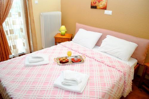 Hotel Aoos