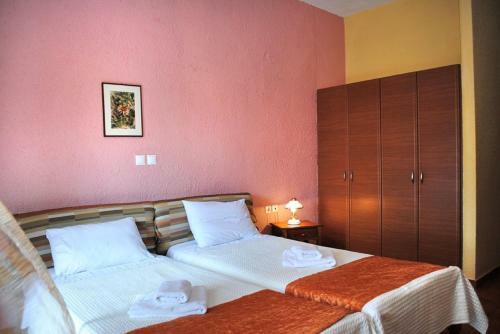 Hotel Aoos