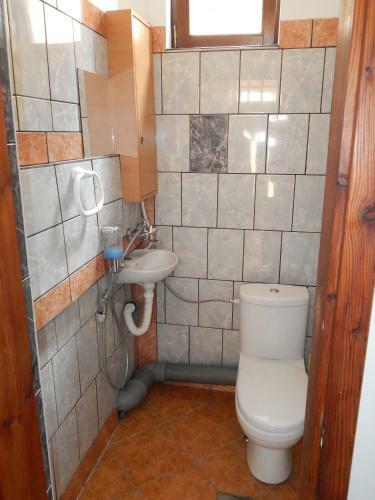 Apartment Dimitrieski