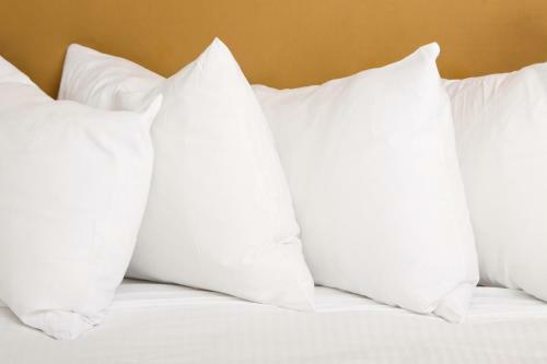 Newcastle Central Plaza Apartment Hotel