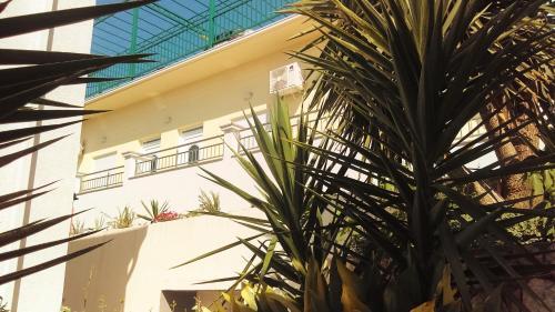 Hostal Villa Obad Guest House