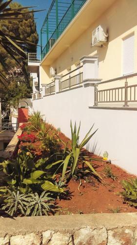 Hostal Villa Obad Guest House