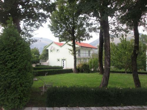 Apartments Rozi?