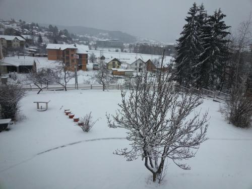 Hotel Damis