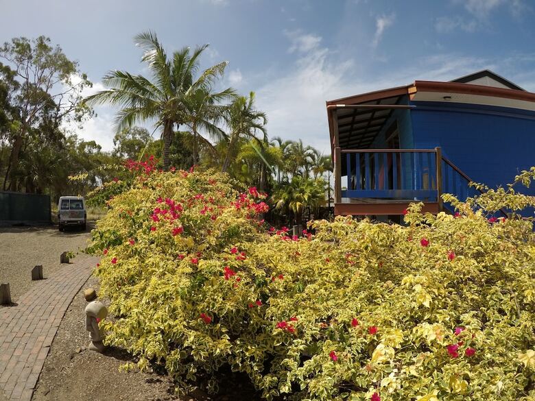 Albergue Cool Bananas Backpackers