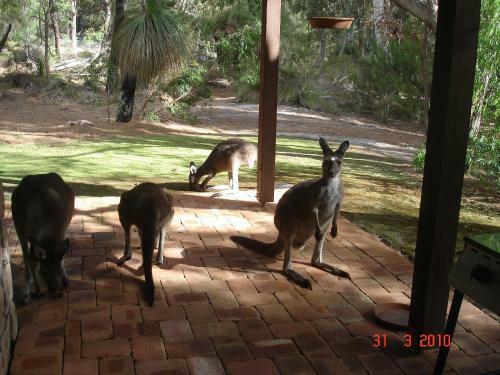 Yelverton Brook Eco Spa Retreat & Conservation Sanctuary